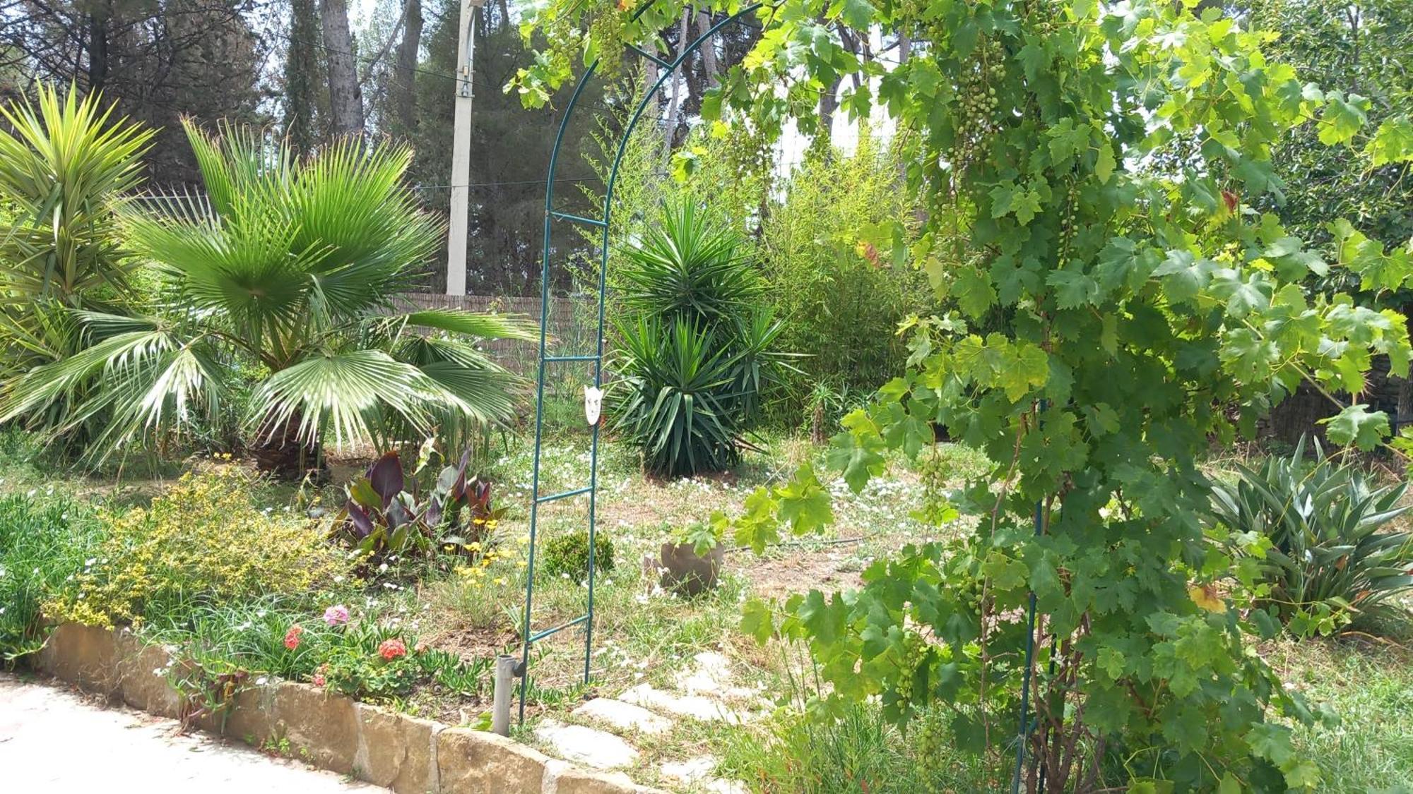 Villa Magali Grande Terrasse Vue Mer, Jardin, Proche Port La Ciotat Exterior photo