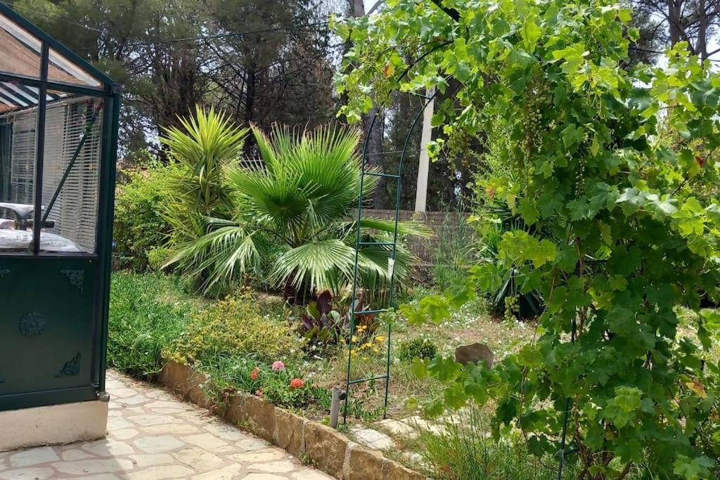 Villa Magali Grande Terrasse Vue Mer, Jardin, Proche Port La Ciotat Exterior photo