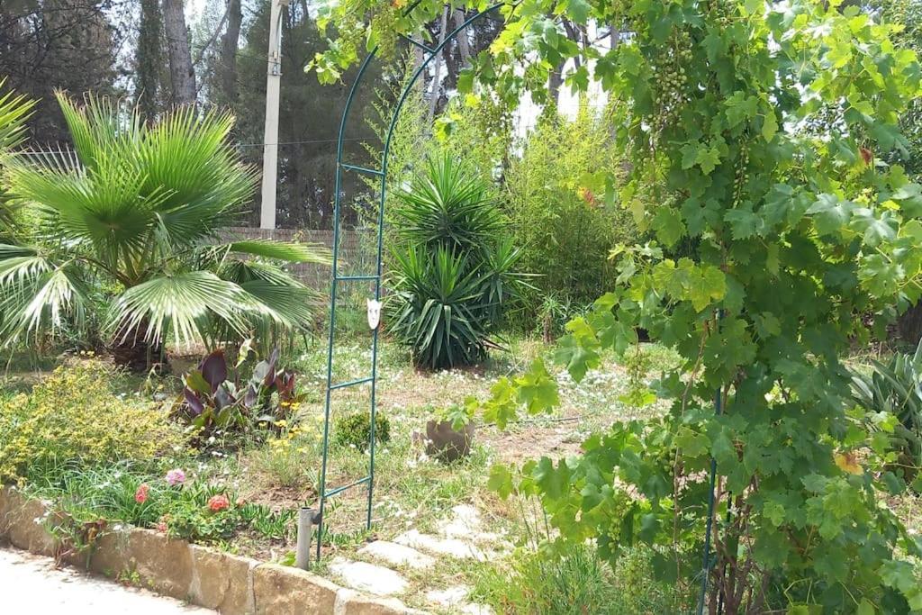 Villa Magali Grande Terrasse Vue Mer, Jardin, Proche Port La Ciotat Exterior photo